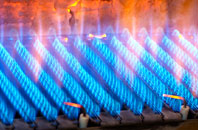 Sutton St Nicholas gas fired boilers